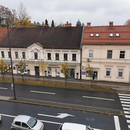 Apartment Trzaska With Free Parking Любляна Екстериор снимка
