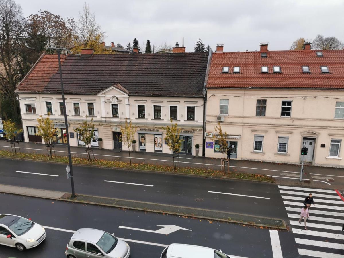 Apartment Trzaska With Free Parking Любляна Екстериор снимка